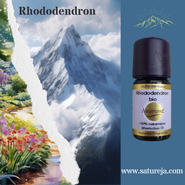 Rhododendron bio 5 ml