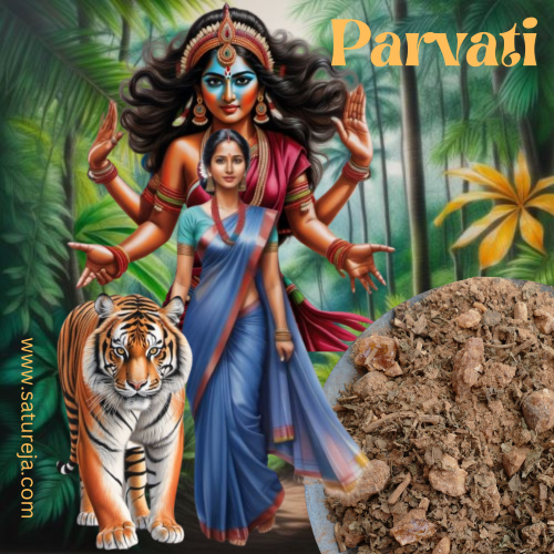 Parvati 10 g